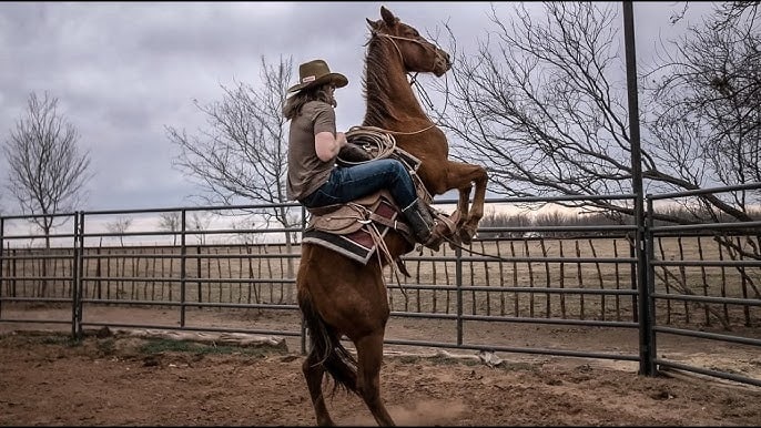 What Ranch Does Dale Brisby Work On, And What Is His Job?