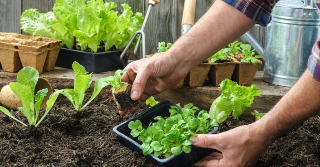 What are some eco-friendly gardening practices