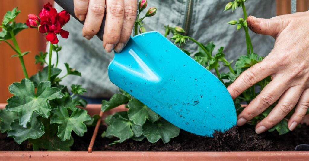 What are some essential garden maintenance tips to keep my garden healthy